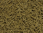 Pferdefutter "Polo"  25 kg/Sack
